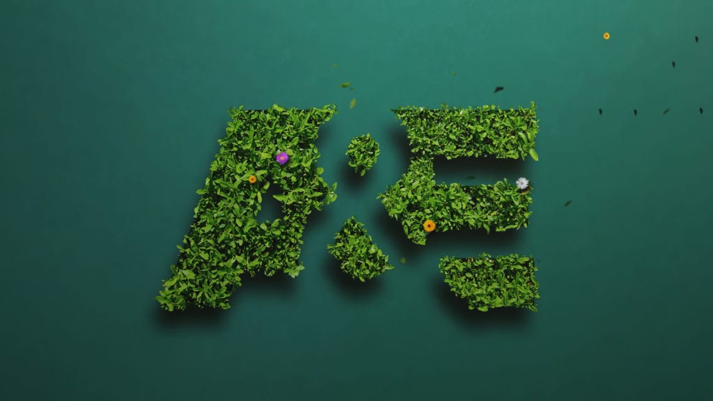 Broadcast logo design for A&E